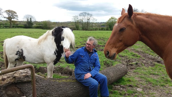 Gwynne with a cat and horses